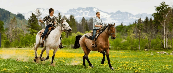 Confident plus-size woman riding Solihull a horse through a field with a smile on her face.